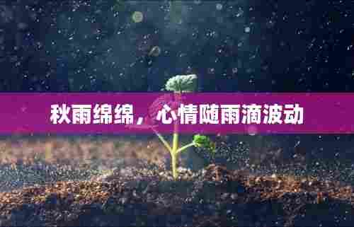 秋雨绵绵,心情随雨滴波动