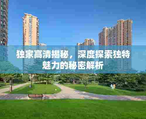 独家高清揭秘,深度探索独特魅力的秘密解析