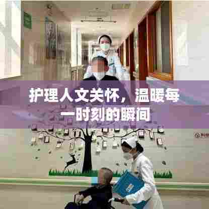 护理人文关怀,温暖每一时刻的瞬间