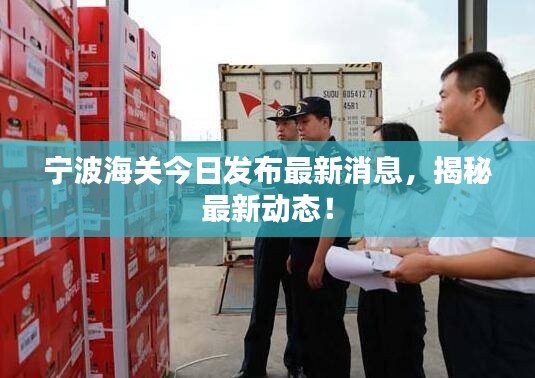 宁波海关今日发布最新消息,揭秘最新动态!