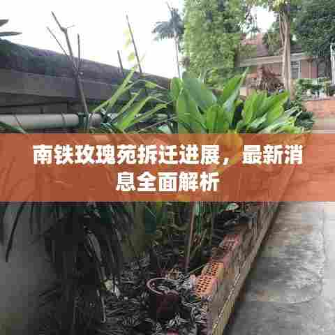 南铁玫瑰苑拆迁进展，最新消息全面解析