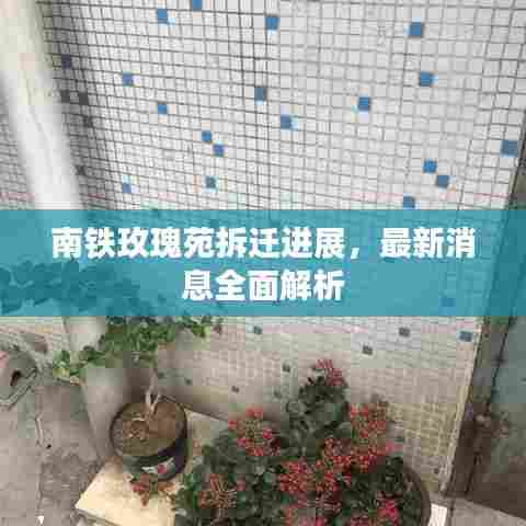 南铁玫瑰苑拆迁进展,最新消息全面解析