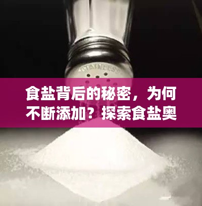 食盐背后的秘密，为何不断添加？探索食盐奥秘之旅