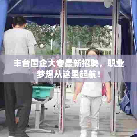 丰台国企大专最新招聘,职业梦想从这里起航!