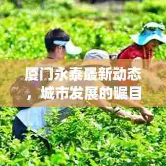 厦门永泰最新动态,城市发展的瞩目亮点与全新动向