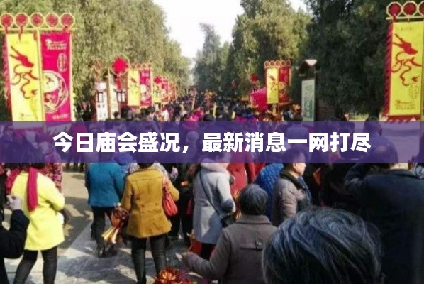今日庙会盛况，最新消息一网打尽