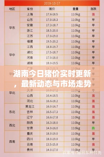 湖南今日猪价实时更新,最新动态与市场走势分析