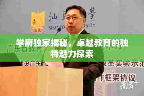 学府独家揭秘，卓越教育的独特魅力探索