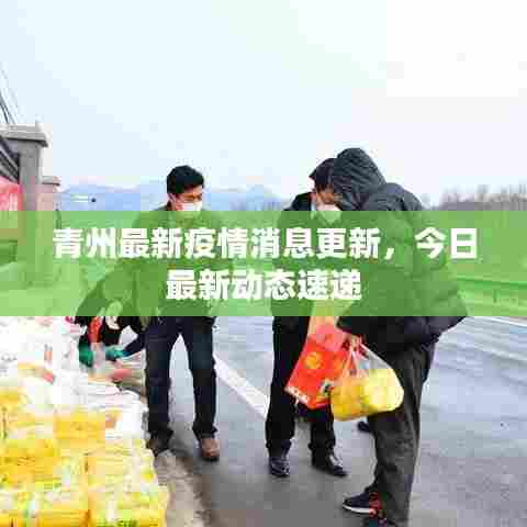 青州最新疫情消息更新，今日最新动态速递