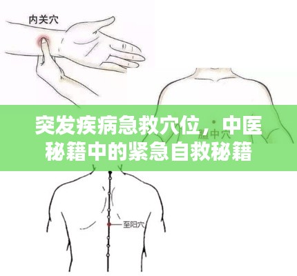 突发疾病急救穴位，中医秘籍中的紧急自救秘籍