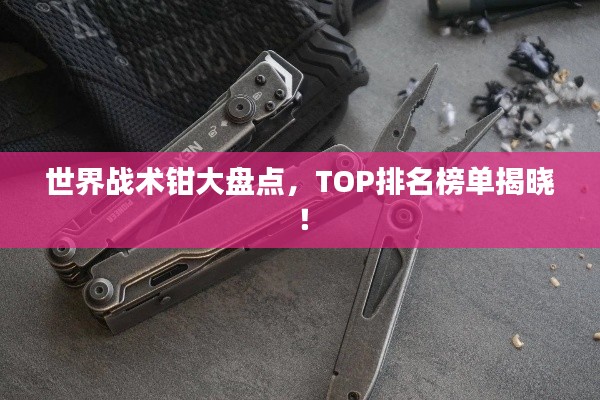 世界战术钳大盘点,TOP排名榜单揭晓!