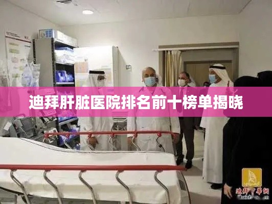 迪拜肝脏医院排名前十榜单揭晓