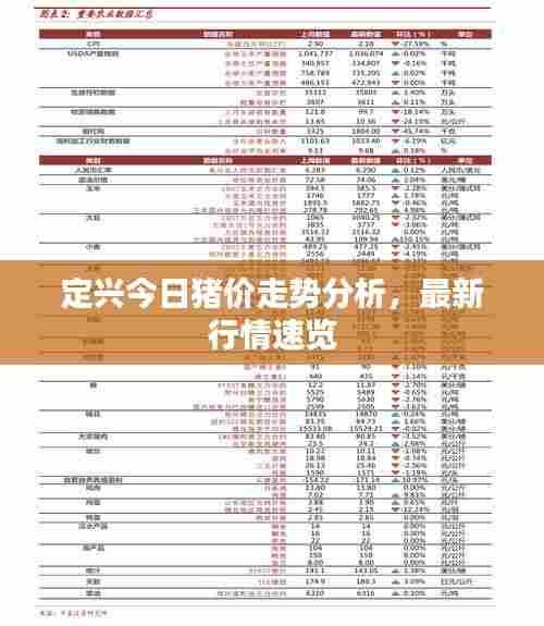 定兴今日猪价走势分析，最新行情速览