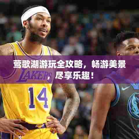 莺歌湖游玩全攻略,畅游美景,尽享乐趣!