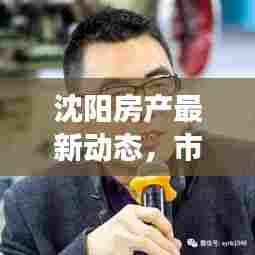 沈阳房产最新动态,市场走势、政策调控与热门楼盘一网打尽