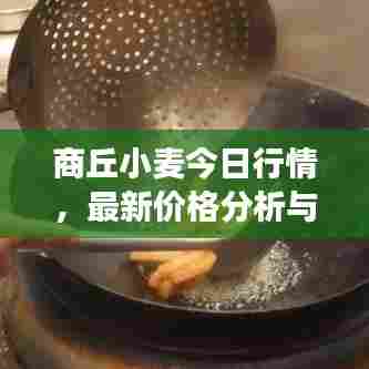 商丘小麦今日行情,最新价格分析与趋势解读