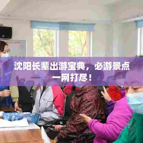 沈阳长辈出游宝典,必游景点一网打尽!