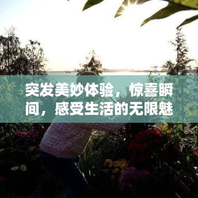 突发美妙体验,惊喜瞬间,感受生活的无限魅力!