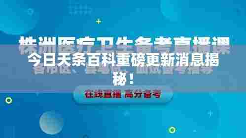 今日天条百科重磅更新消息揭秘!