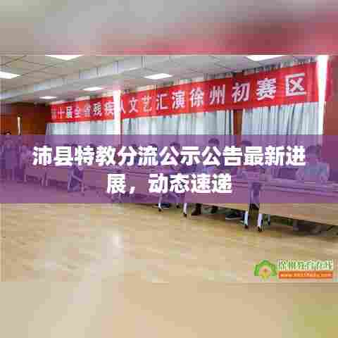 沛县特教分流公示公告最新进展,动态速递