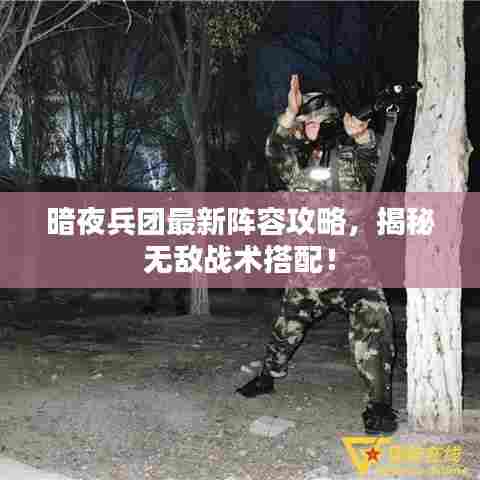 暗夜兵团最新阵容攻略，揭秘无敌战术搭配！