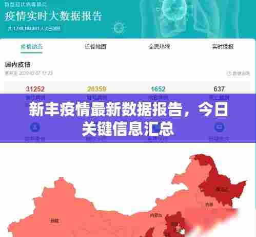 新丰疫情最新数据报告,今日关键信息汇总