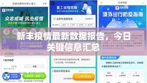 新丰疫情最新数据报告，今日关键信息汇总