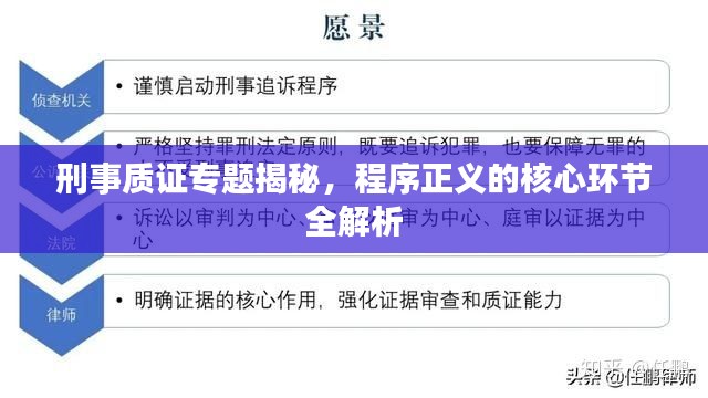 刑事质证专题揭秘，程序正义的核心环节全解析