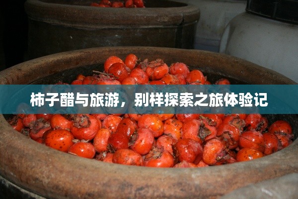 柿子醋与旅游,别样探索之旅体验记