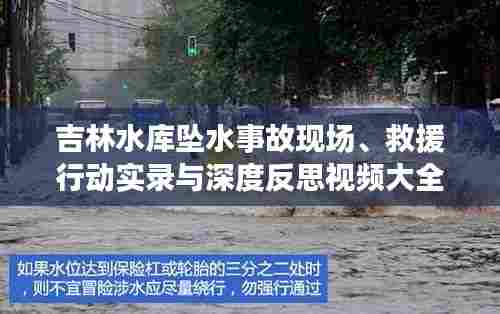 吉林水库坠水事故现场、救援行动实录与深度反思视频大全最新发布