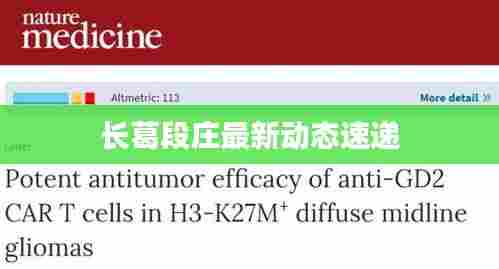 长葛段庄最新动态速递