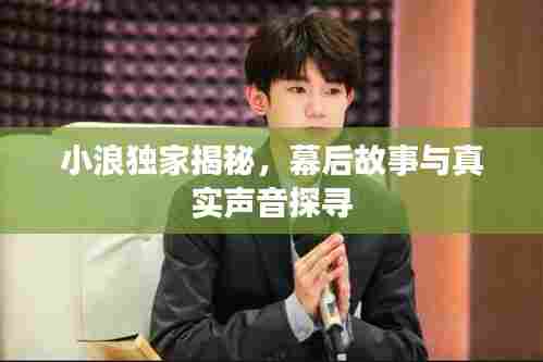 小浪独家揭秘,幕后故事与真实声音探寻