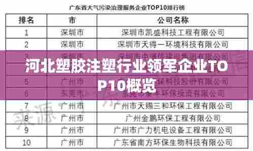 河北塑胶注塑行业领军企业TOP10概览