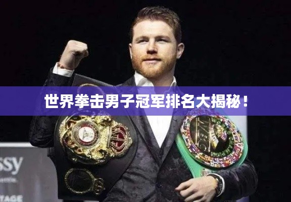 世界拳击男子冠军排名大揭秘!