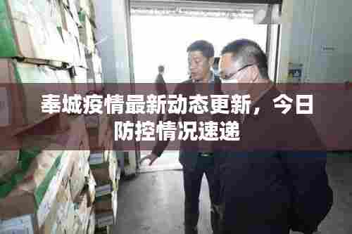奉城疫情最新动态更新，今日防控情况速递