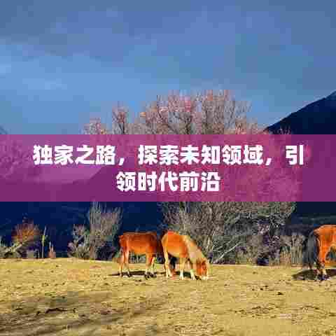 独家之路,探索未知领域,引领时代前沿