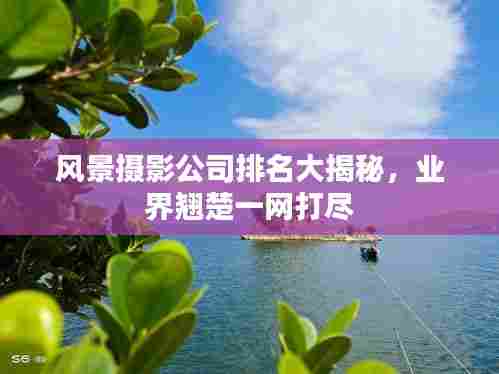 风景摄影公司排名大揭秘，业界翘楚一网打尽