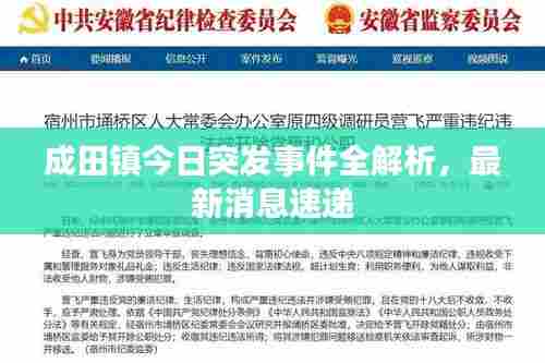 成田镇今日突发事件全解析,最新消息速递