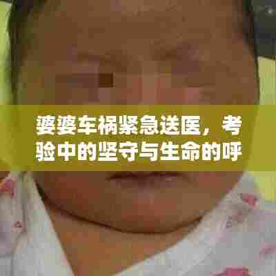 婆婆车祸紧急送医,考验中的坚守与生命的呼唤