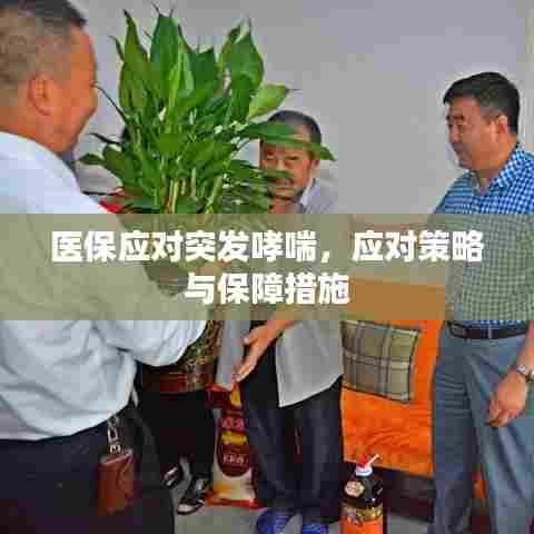 医保应对突发哮喘,应对策略与保障措施