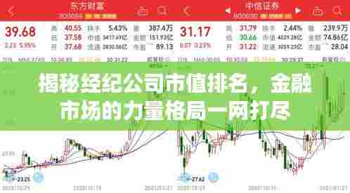 揭秘经纪公司市值排名，金融市场的力量格局一网打尽