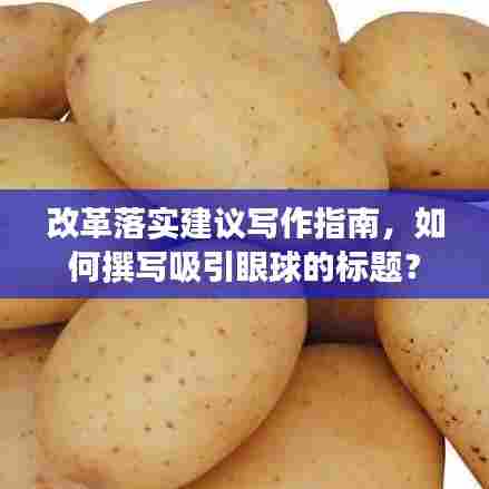 改革落实建议写作指南,如何撰写吸引眼球的标题?