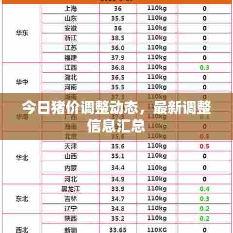 今日猪价调整动态,最新调整信息汇总