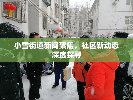 小雪街道新闻聚焦，社区新动态深度探寻
