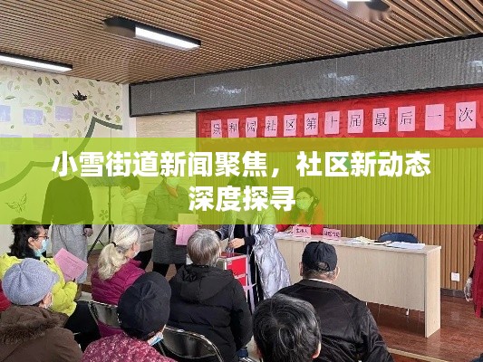 小雪街道新闻聚焦,社区新动态深度探寻