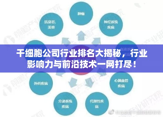 干细胞公司行业排名大揭秘,行业影响力与前沿技术一网打尽!