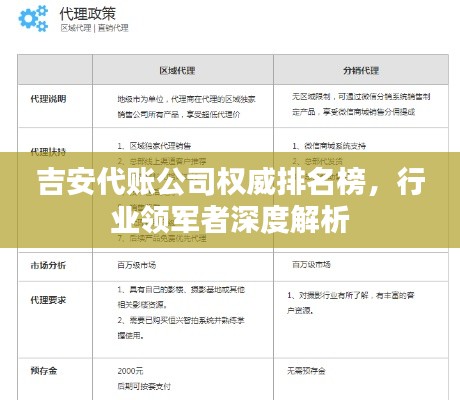 吉安代账公司权威排名榜,行业领军者深度解析