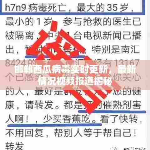 邯郸西瓜病毒实时更新,最新情况视频报道揭秘