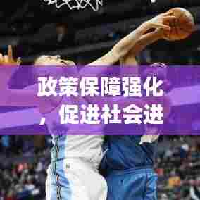 政策保障强化,促进社会进步与和谐发展的强大基石