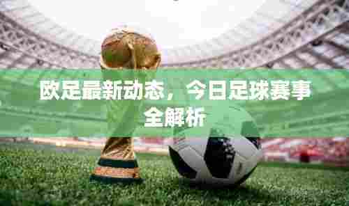 欧足最新动态,今日足球赛事全解析